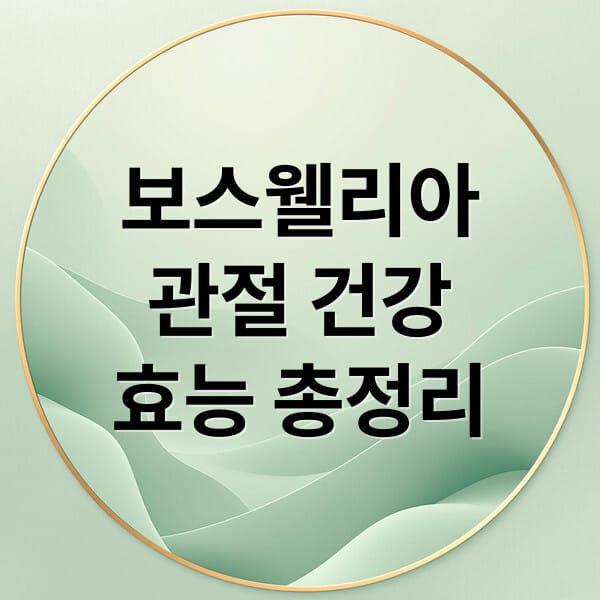 보스웰리아 효능 총정리: 관절 건강부터 섭취법까지