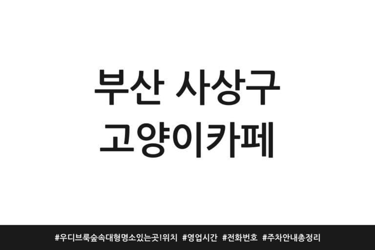 부산 사상구 고양이카페 | 우디브룩 숲속 대형 명소 있는 곳! 위치 | 영업시간 | 전화번호 | 주차 안내 총정리