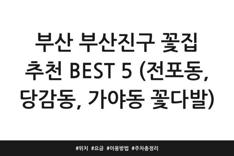 부산 부산진구 꽃집 추천 BEST 5 (전포동, 당감동, 가야동 꽃다발) | 위치 | 요금 | 이용방법 | 주차 총정리