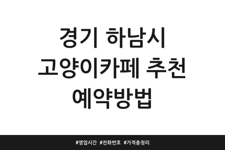 경기 하남시 고양이카페 추천 예약방법 | 영업시간 | 전화번호 | 가격 총정리