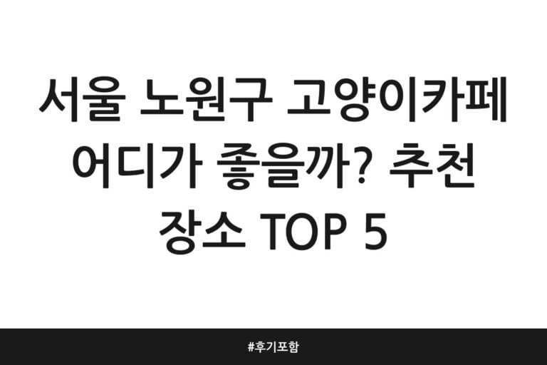 서울 노원구 고양이카페 어디가 좋을까? 추천 장소 TOP 5 | 후기 포함