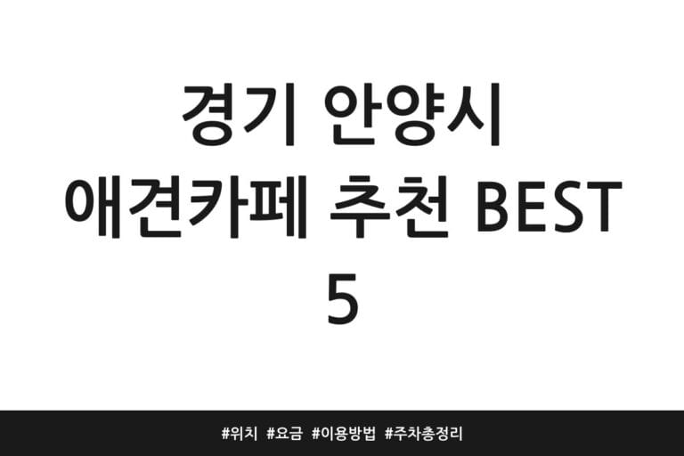 경기 안양시 애견카페 추천 BEST 5 | 위치 | 요금 | 이용방법 | 주차 총정리