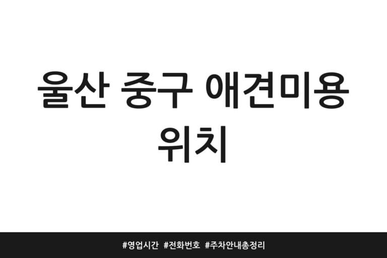 울산 중구 애견미용 위치 | 영업시간 | 전화번호 | 주차 안내 총정리