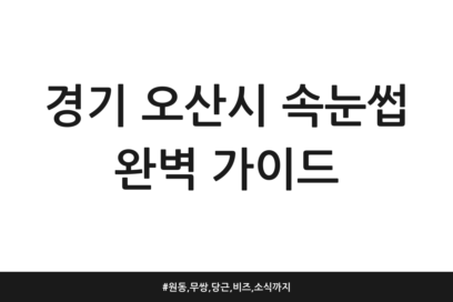경기 오산시 속눈썹 완벽 가이드 | 원동, 무쌍, 당근, 비즈, 소식까지