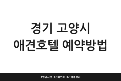 경기 고양시 애견호텔 예약방법 | 영업시간 | 전화번호 | 가격 총정리