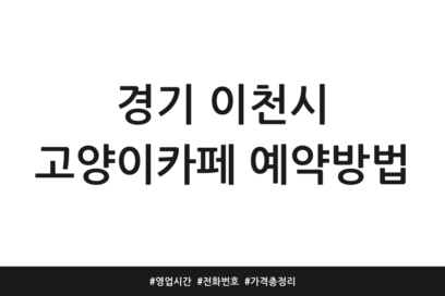 경기 이천시 고양이카페 예약방법 | 영업시간 | 전화번호 | 가격 총정리
