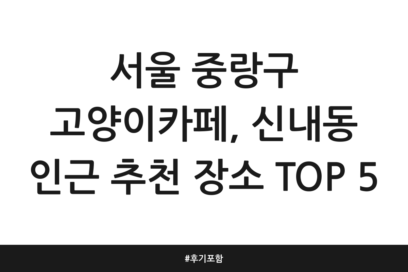서울 중랑구 고양이카페, 신내동 인근 추천 장소 TOP 5 | 후기 포함