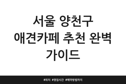 서울 양천구 애견카페 추천 완벽 가이드 | 위치 | 영업시간 | 예약방법까지