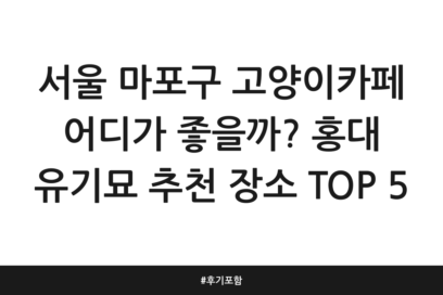서울 마포구 고양이카페 어디가 좋을까? 홍대 유기묘 추천 장소 TOP 5 | 후기 포함