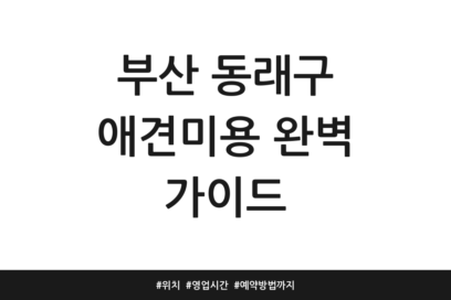 부산 동래구 애견미용 완벽 가이드 | 위치 | 영업시간 | 예약방법까지
