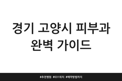 경기 고양시 피부과 완벽 가이드 | 추천 병원 | 031 위치 | 예약방법까지
