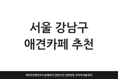 서울 강남구 애견카페 추천 | 반려견 동반 우수업체 위치, 영업시간, 전화번호, 주차 안내 총정리