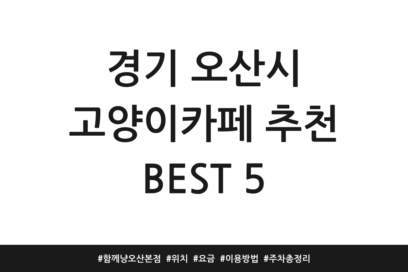 경기 오산시 고양이카페 추천 BEST 5 | 함께냥 오산본점 | 위치 | 요금 | 이용방법 | 주차 총정리