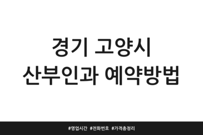 경기 고양시 산부인과 예약방법 | 영업시간 | 전화번호 | 가격 총정리