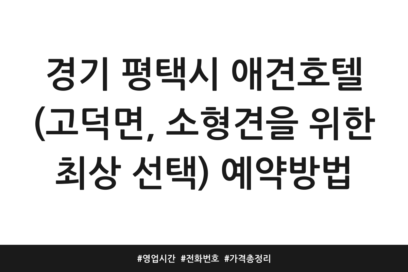 경기 평택시 애견호텔 (고덕면, 소형견을 위한 최상 선택) 예약방법 | 영업시간 | 전화번호 | 가격 총정리