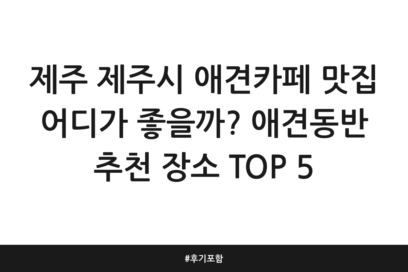제주 제주시 애견카페 맛집 어디가 좋을까? 애견동반 추천 장소 TOP 5 | 후기 포함