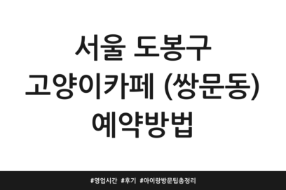 서울 도봉구 고양이카페 (쌍문동) 예약방법 | 영업시간 | 후기 | 아이랑 방문 팁 총정리