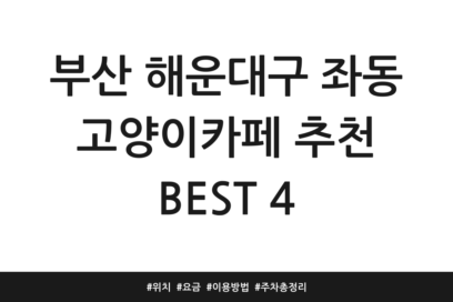 부산 해운대구 좌동 고양이카페 추천 BEST 4 | 위치 | 요금 | 이용방법 | 주차 총정리
