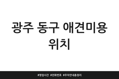 광주 동구 애견미용 위치 | 영업시간 | 전화번호 | 주차 안내 총정리