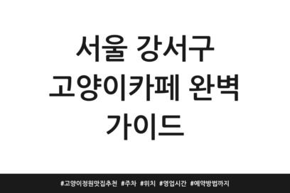 서울 강서구 고양이카페 완벽 가이드 | 고양이정원 맛집 추천 | 주차 | 위치 | 영업시간 | 예약방법까지