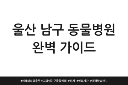 울산 남구 동물병원 완벽 가이드 | 미래와 희망을 주는 고양이 친구들을 위해 | 위치 | 영업시간 | 예약방법까지