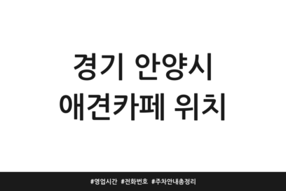 경기 안양시 애견카페 위치 | 영업시간 | 전화번호 | 주차 안내 총정리