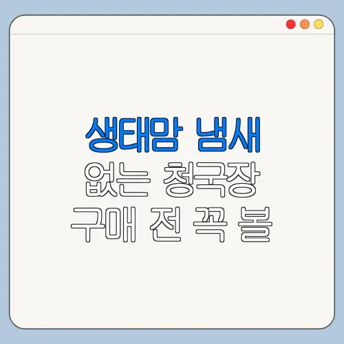 생태맘 냄새 없는 청국장 구매 전 꼭 볼 내용