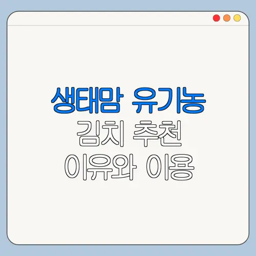 생태맘 유기농 김치 추천 이유와 이용 방법