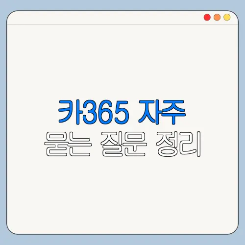 카365 자주 묻는 질문 정리