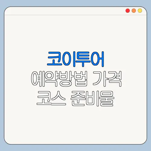 코이투어 예약방법 가격 코스 준비물 한눈에 보기