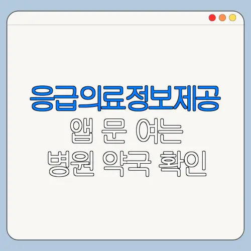 응급의료정보제공 앱 문 여는 병원 약국 확인 방법