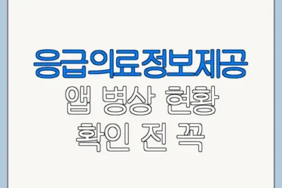 응급의료정보제공 앱 병상 현황 확인 전 꼭 알아둘 사항