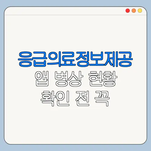응급의료정보제공 앱 병상 현황 확인 전 꼭 알아둘 사항