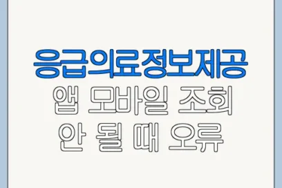 응급의료정보제공 앱 모바일 조회 안 될 때 오류 해결