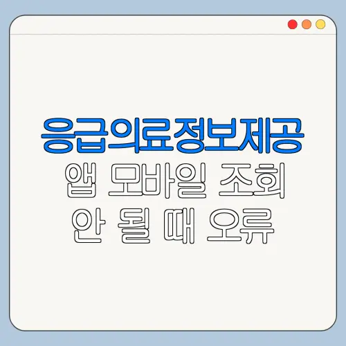 응급의료정보제공 앱 모바일 조회 안 될 때 오류 해결