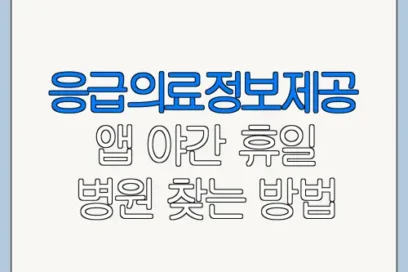 응급의료정보제공 앱 야간 휴일 병원 찾는 방법