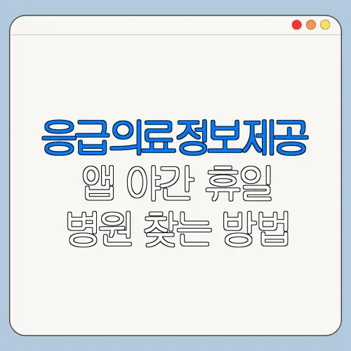 응급의료정보제공 앱 야간 휴일 병원 찾는 방법