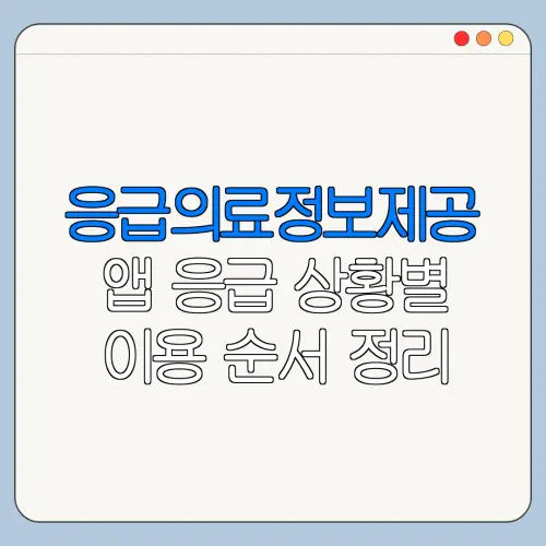 응급의료정보제공 앱 응급 상황별 이용 순서 정리