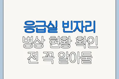 응급실 빈자리 병상 현황 확인 전 꼭 알아둘 사항