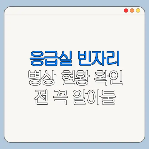 응급실 빈자리 병상 현황 확인 전 꼭 알아둘 사항