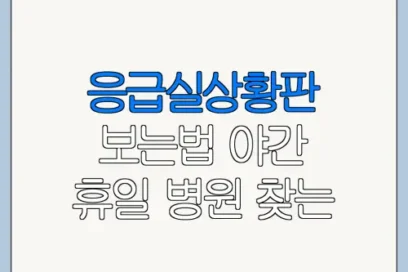 응급실상황판 보는법 야간 휴일 병원 찾는 방법
